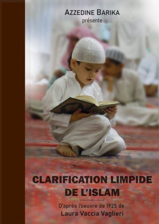 Un ouvrage lumineux et accessible qui présente les fondements de l'Islam avec clarté, sincérité et rigueur. Inspiré du travail remarquable de Laura Veccia Vaglieri (1925), ce livre est ici magnifiquement présenté par Azzedine Barika.