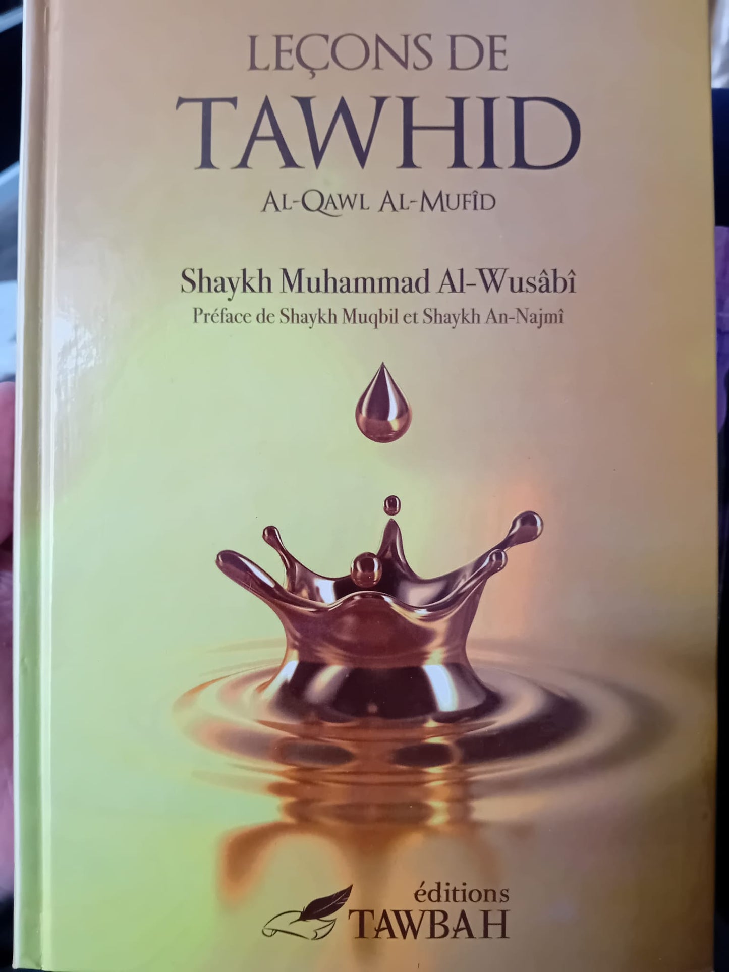 Livre 'Leçons de Tawhid – Al-Qawl Al-Mufîd' du shaykh Muhammad Al-Wusâbî. Un ouvrage clair et fondamental sur l’unicité d’Allah, enrichi des préfaces de shaykh Muqbil et shaykh An-Najmî. Éditions Tawbah. Un essentiel pour poser les bases de la foi authentique.