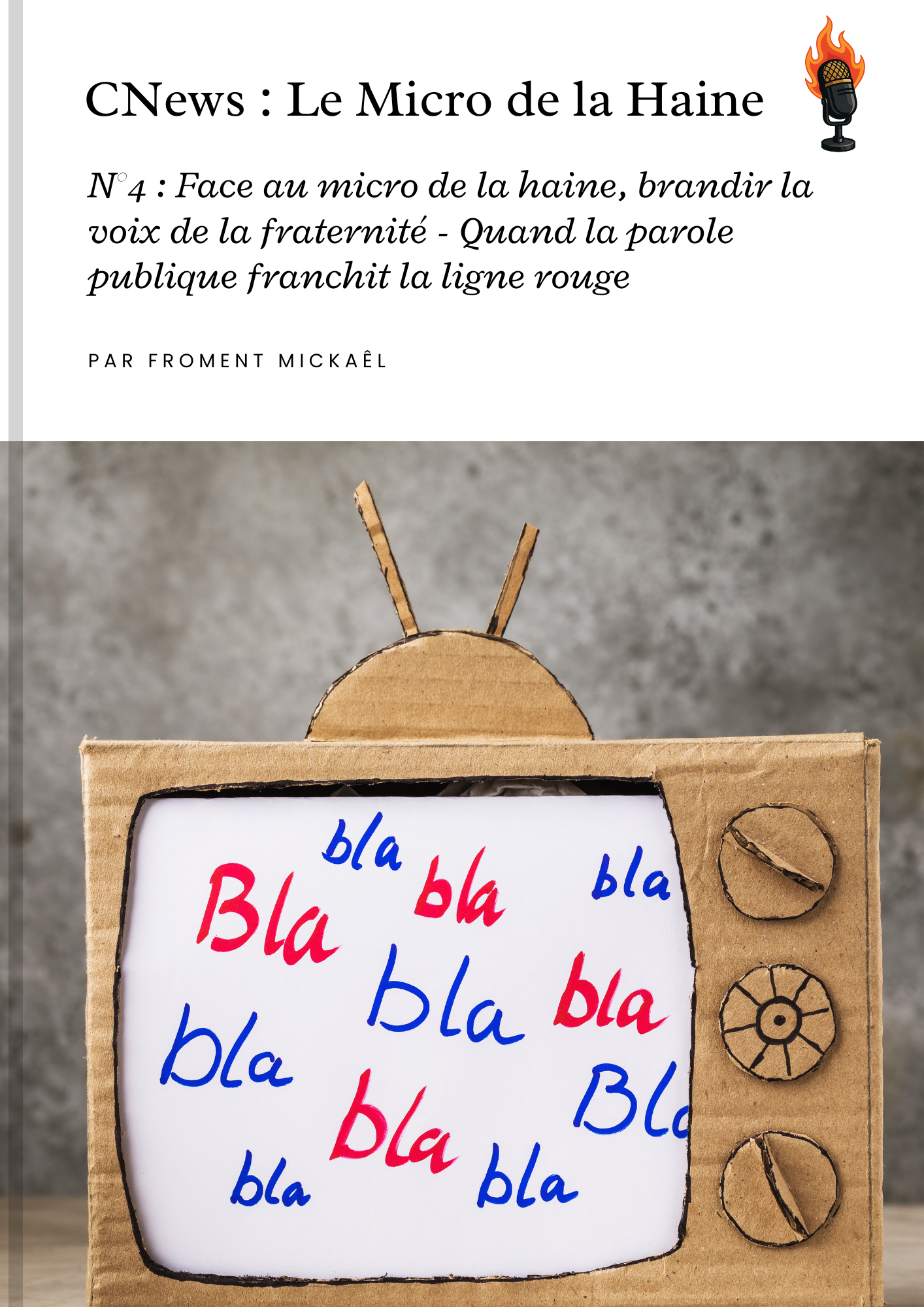 Livre « CNews : Le Micro de la Haine » N°4 – Analyse et dénonciation des propos islamophobes et stigmatisants dans les médias français, avec un focus sur Noëlle Lenoir et Arno Klarsfeld. Un plaidoyer pour la fraternité, le respect et le vivre-ensemble face à la montée de la haine médiatique.