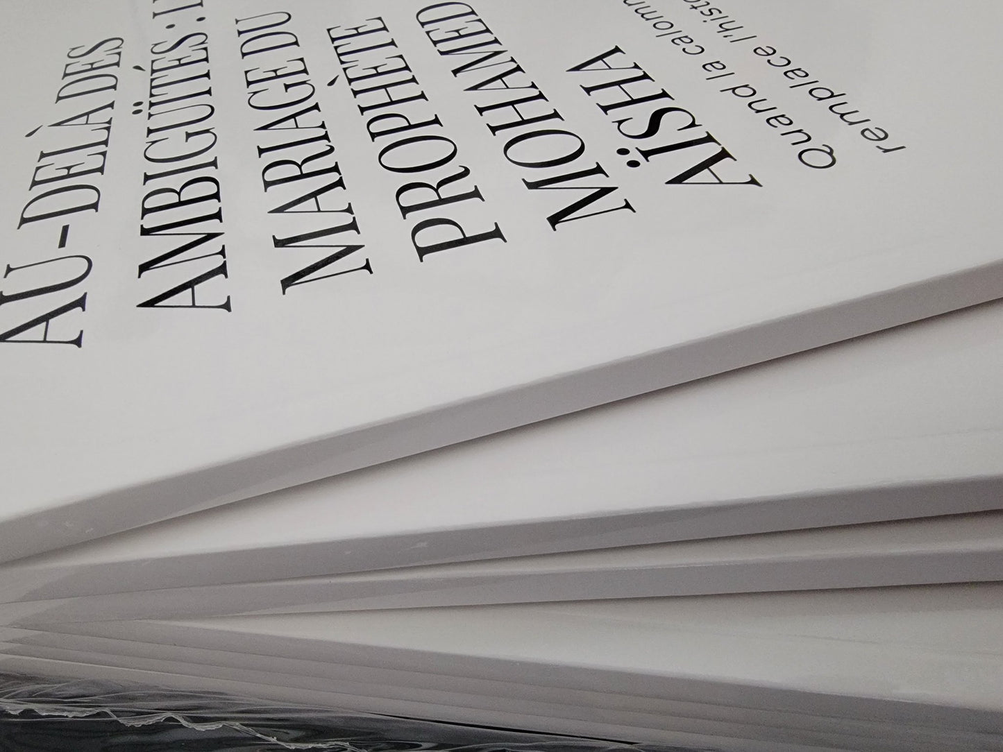 Livre “Au-delà des ambiguïtés : Le mariage du Prophète Mohamed avec Aïsha” de Froment Mickaël, édition brochée blanche en mise en scène 3D élégante avec décor oriental et ambiance chaleureuse.