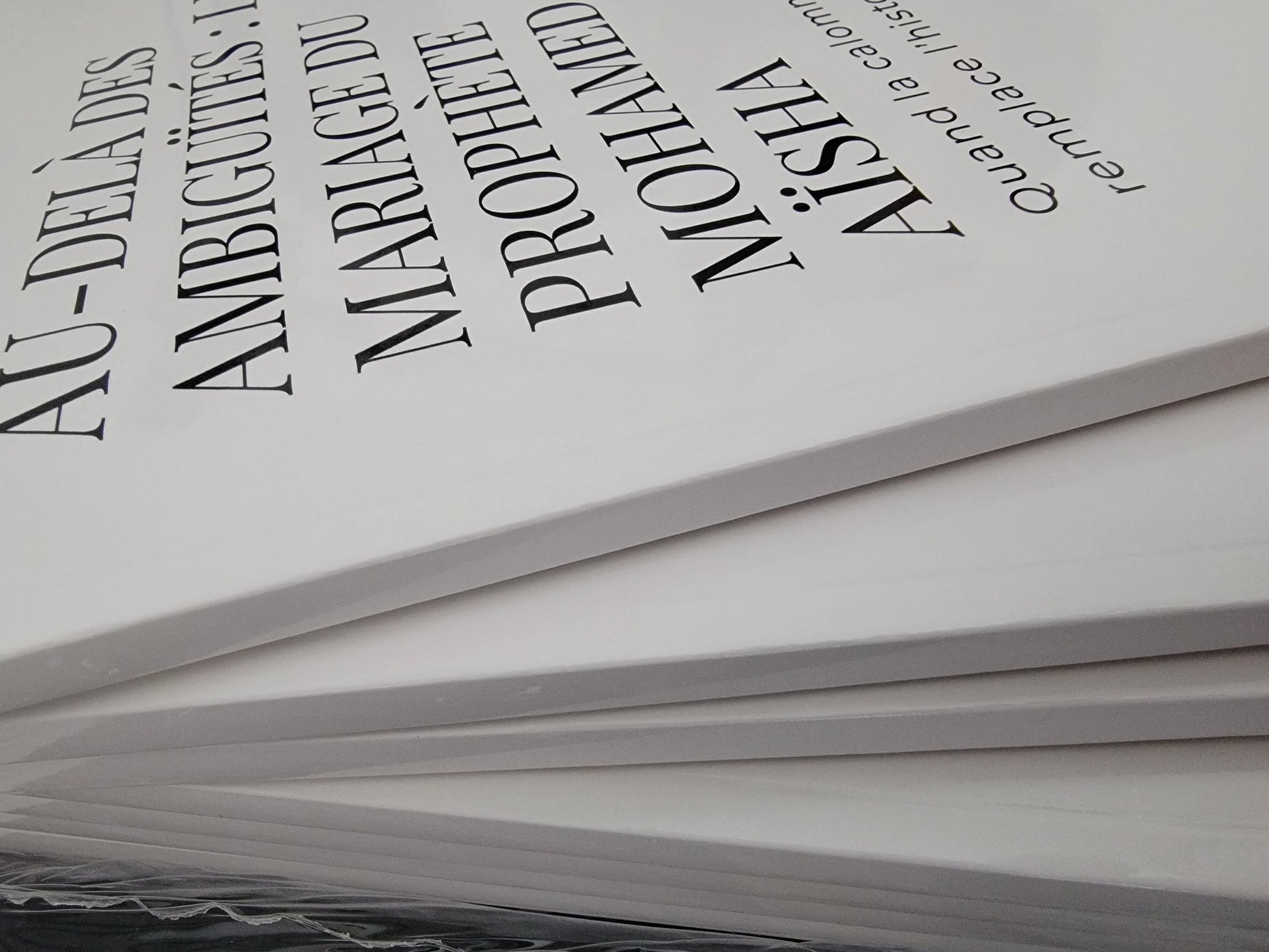 Livre “Au-delà des ambiguïtés : Le mariage du Prophète Mohamed avec Aïsha” de Froment Mickaël, édition brochée blanche en mise en scène 3D élégante avec décor oriental et ambiance chaleureuse.